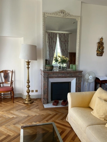 Photos 42 - Prestigious - Elegant 19th century CHATEAU on 70 ha, PANORAMIC VIEW OF THE PYRENEES, at the end of a driveway, Tou