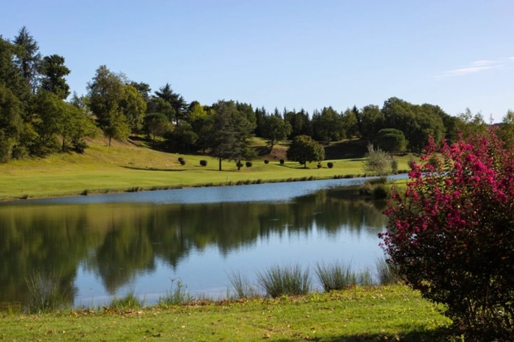 Photos 52 - Prestigious - Elegant 19th century CHATEAU on 70 ha, PANORAMIC VIEW OF THE PYRENEES, at the end of a driveway, Tou