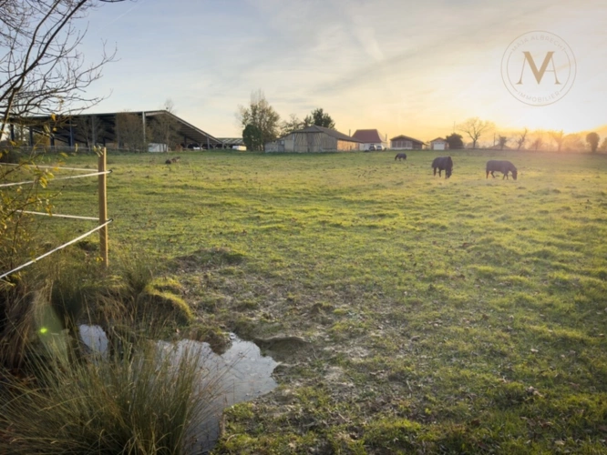 Photos 1 - Equestrian - Propriete équestre avec 20ha d’un seul tenant proche de VILLEREAL (47)