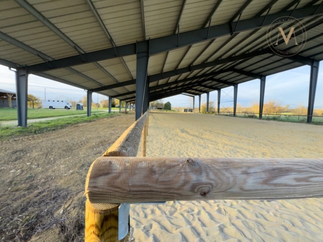 Photos 2 - Equestrian - Propriete équestre avec 20ha d’un seul tenant proche de VILLEREAL (47)