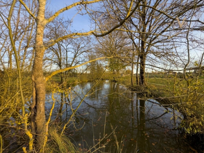 Photos 7 - Equestrian - Propriete équestre avec 20ha d’un seul tenant proche de VILLEREAL (47)