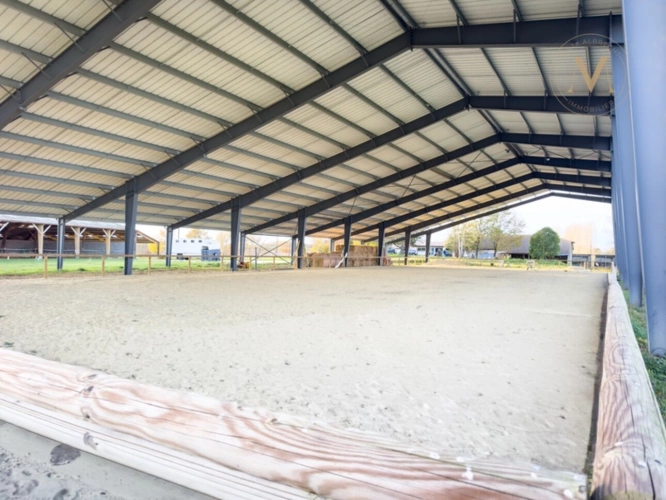 Photos 8 - Equestrian - Propriete équestre avec 20ha d’un seul tenant proche de VILLEREAL (47)