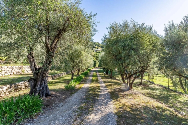 Photos 13 - Prestigious - House