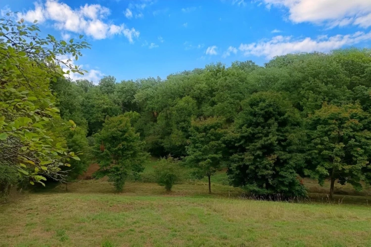 Photos 2 - Land - Agricultural land