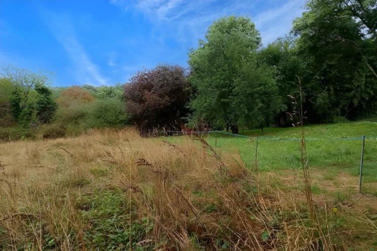 Photos 8 - Land - Agricultural land