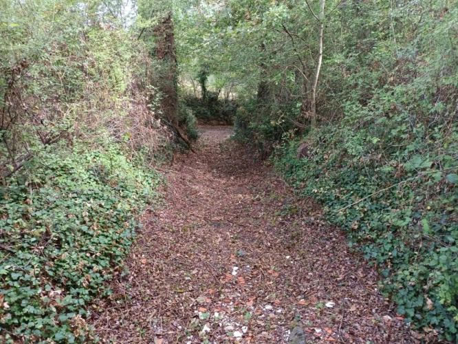 Photos 13 - Land - Agricultural land