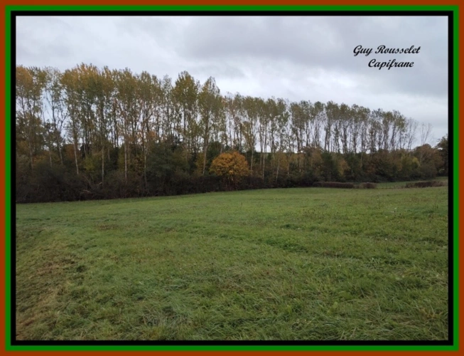 Photos 22 - Rurale - PROPRIETE A VENDRE FAITE D'UNE MAISON, D'UNE GRANGE, D'UN GRAND TERRAIN