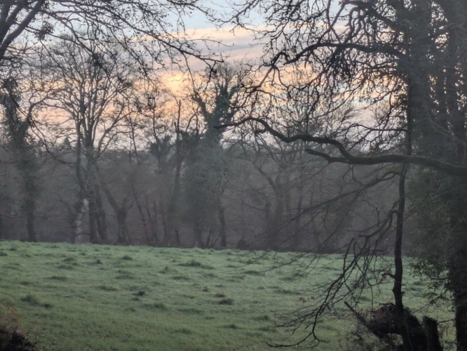Photos 15 - Prestigious - RARE SUR LE MARCHÉ GRANDE LONGÈRE EN PIERRE AVEC DE NOMBREUSES DÉPENDANCES PARCELLES ATTENANTES DE 14 HECTARES