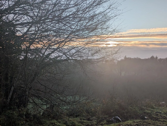 Photos 16 - Prestigious - RARE SUR LE MARCHÉ GRANDE LONGÈRE EN PIERRE AVEC DE NOMBREUSES DÉPENDANCES PARCELLES ATTENANTES DE 14 HECTARES