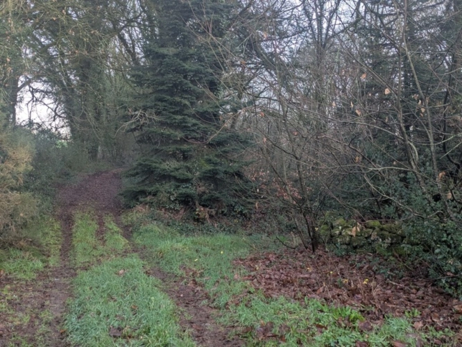 Photos 17 - Prestigious - RARE SUR LE MARCHÉ GRANDE LONGÈRE EN PIERRE AVEC DE NOMBREUSES DÉPENDANCES PARCELLES ATTENANTES DE 14 HECTARES