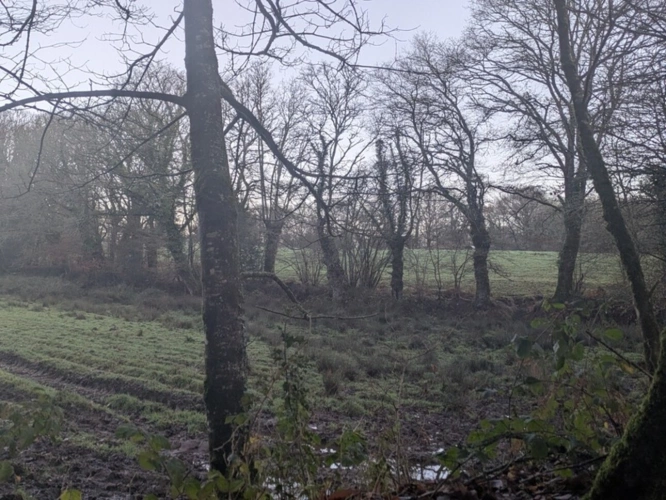 Photos 19 - Prestigious - RARE SUR LE MARCHÉ GRANDE LONGÈRE EN PIERRE AVEC DE NOMBREUSES DÉPENDANCES PARCELLES ATTENANTES DE 14 HECTARES