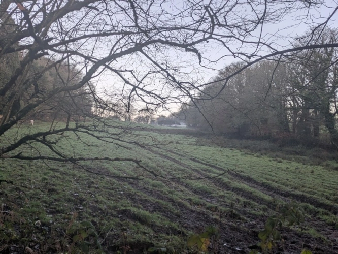 Photos 20 - Prestigious - RARE SUR LE MARCHÉ GRANDE LONGÈRE EN PIERRE AVEC DE NOMBREUSES DÉPENDANCES PARCELLES ATTENANTES DE 14 HECTARES