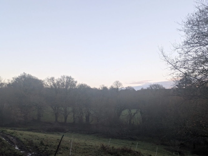 Photos 21 - Prestigious - RARE SUR LE MARCHÉ GRANDE LONGÈRE EN PIERRE AVEC DE NOMBREUSES DÉPENDANCES PARCELLES ATTENANTES DE 14 HECTARES