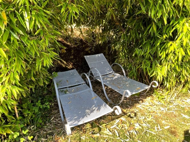 Photos 28 - Prestigious - Gers (32) department, Aire-sur-l'Adour, 19th-century bourgeois property, requiring no work, with ind