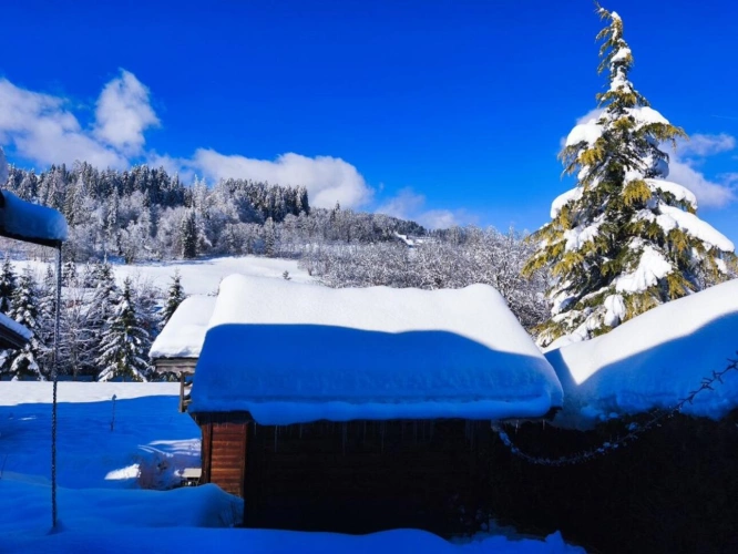 Photos 2 - Prestigious - Chalet en bois