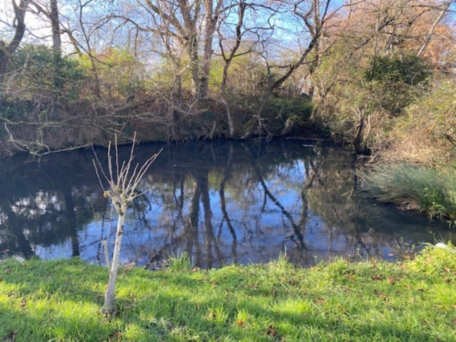 Photos 19 - Tourist - 7-room property for sale in SOREZE (81)