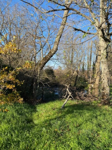 Photos 20 - Tourist - 7-room property for sale in SOREZE (81)