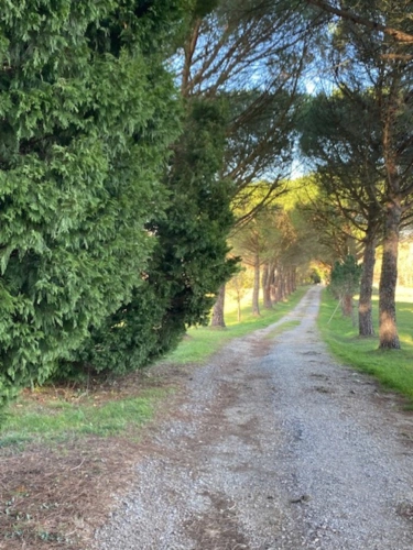 Photos 25 - Tourist - 7-room property for sale in SOREZE (81)