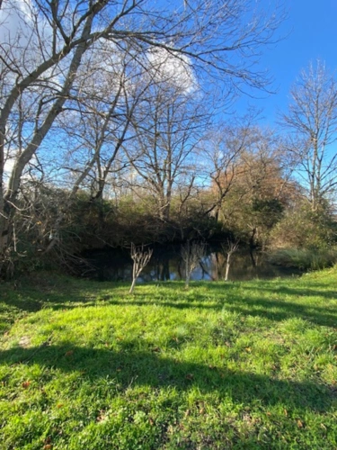 Photos 31 - Tourist - 7-room property for sale in SOREZE (81)