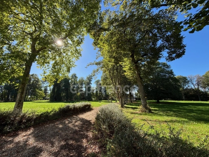 Photos 6 - Équestre - Magnifique château entièrement rénové et propriété équestre à vendre proche de SANCERRE (18)