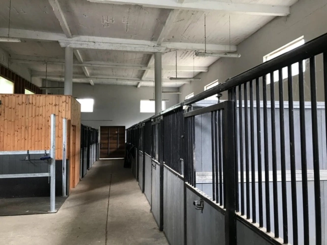 Photos 11 - Équestre - Magnifique château entièrement rénové et propriété équestre à vendre proche de SANCERRE (18)