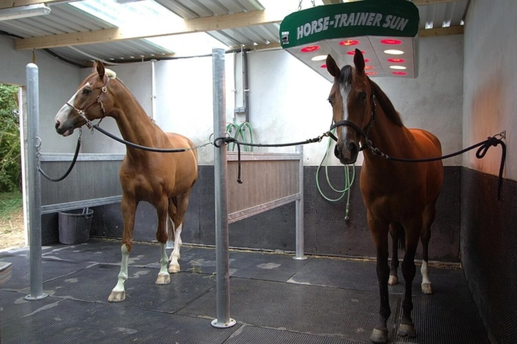 Photos 12 - Équestre - Magnifique château entièrement rénové et propriété équestre à vendre proche de SANCERRE (18)