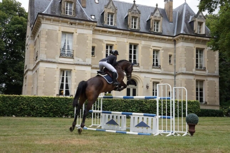 Photos 16 - Équestre - Magnifique château entièrement rénové et propriété équestre à vendre proche de SANCERRE (18)