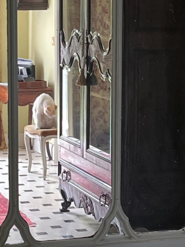 Photos 29 - Prestige - Marciac (32) ELEGANTE MAISON DE MAITRE, sans travaux, avec maison d'artistes ou gîte, parc séculaire clos de murs