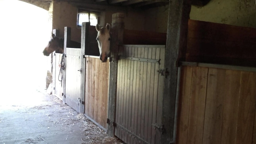 Photos 3 - Équestre - Corps de ferme