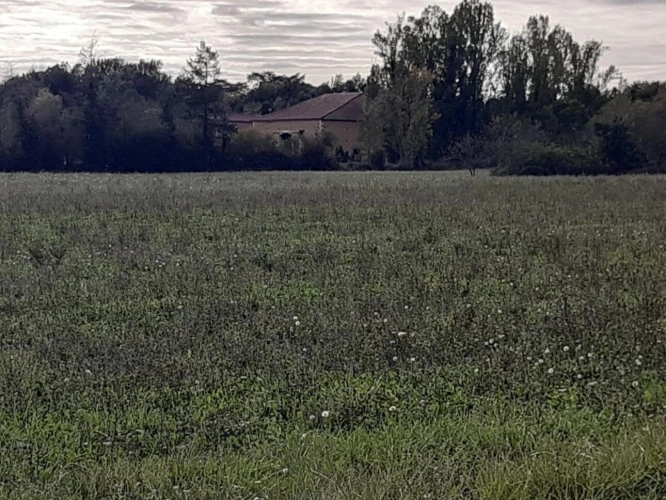 Photos 4 - Équestre - Corps de ferme