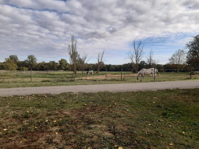 Photos 14 - Équestre - Corps de ferme