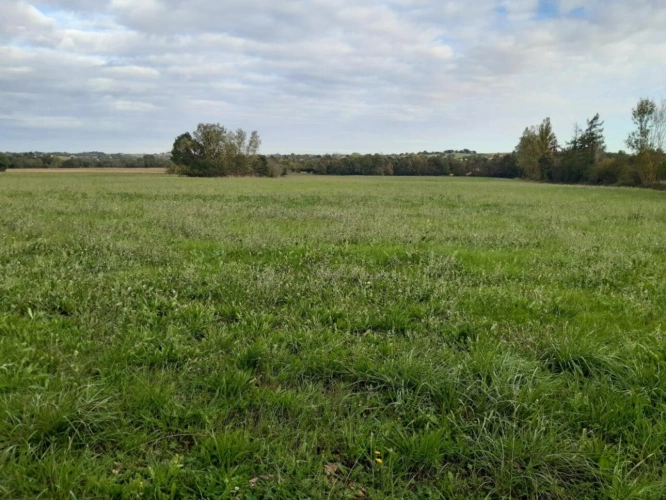 Photos 15 - Équestre - Corps de ferme