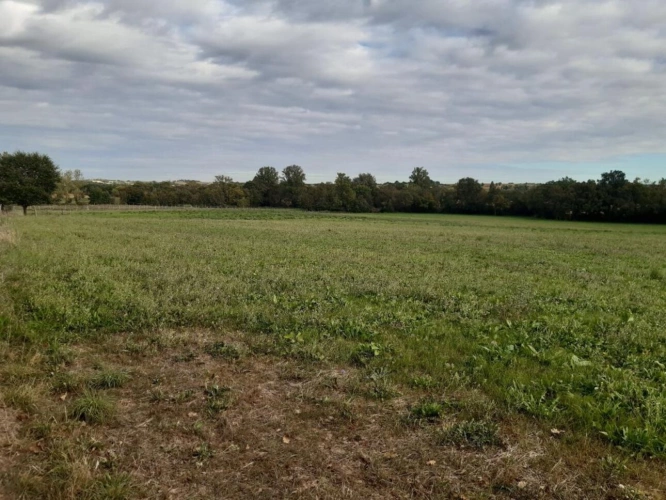 Photos 16 - Équestre - Corps de ferme