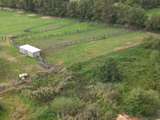 Photos 7 - Équestre - Petite propriété   5,48 ha avec 2 hangars en Brenne