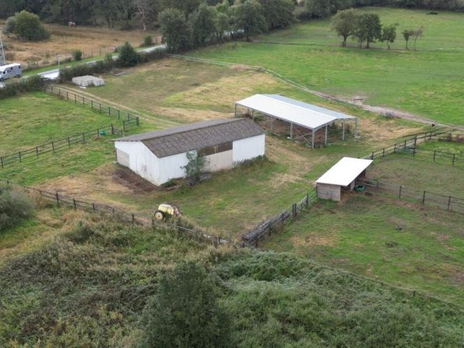 Photos 8 - Équestre - Petite propriété   5,48 ha avec 2 hangars en Brenne