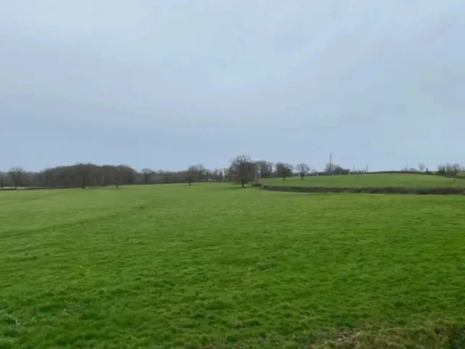 Photos 2 - Agricole - Exploitation d'élevage de 225 hectares dont 79 hectares en propriété dans le Cher