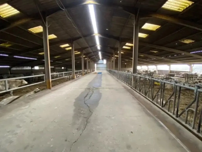 Photos 3 - Agricole - Exploitation d'élevage de 225 hectares dont 79 hectares en propriété dans le Cher