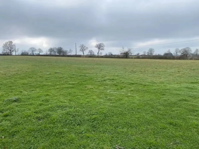Photos 1 - Agricole - Exploitation agricole d'élevage de 104 hectares située dans le Cher (18)