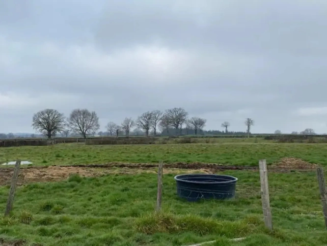 Photos 4 - Agricole - A vendre (Allier 03) à 20 minutes de Montluçon, exploitation agricole de 26 ha groupés