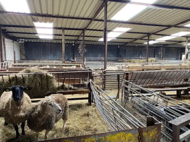 Photos 6 - Agricole - A vendre (Allier 03) à 20 minutes de Montluçon, exploitation agricole de 26 ha groupés