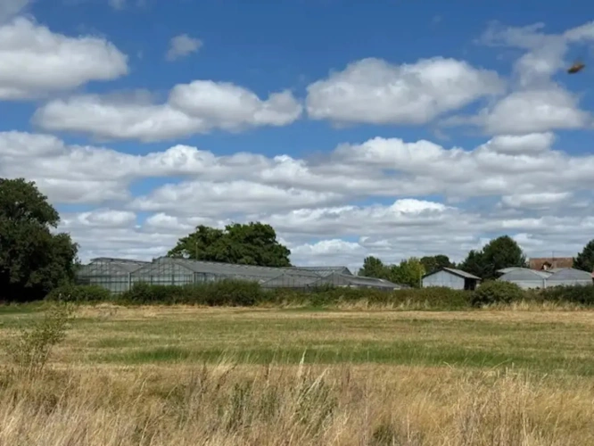 Photos 3 - Agricole - À vendre Allier exploitation horticole