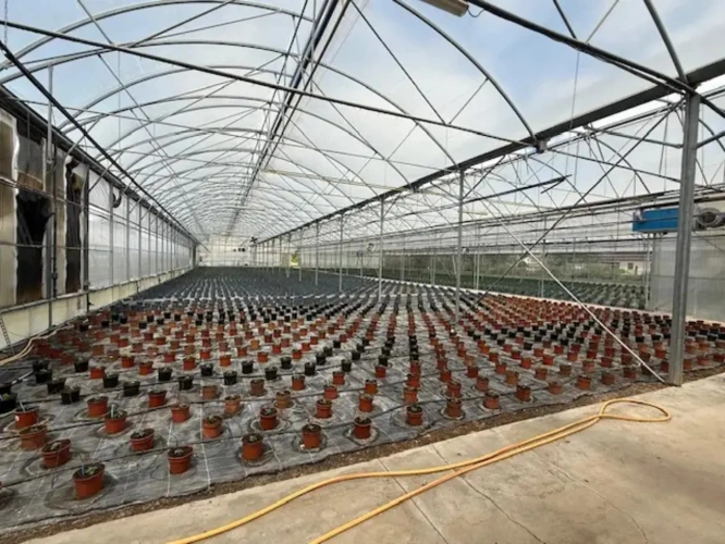 Photos 4 - Agricole - À vendre Allier exploitation horticole