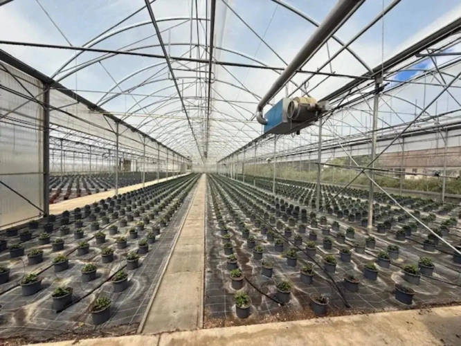 Photos 5 - Agricole - À vendre Allier exploitation horticole