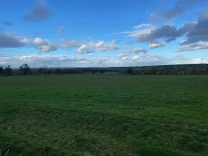 Photos 1 - Agricole - A vendre Allier(03) Exploitation de 190 ha groupés en majorité élevage bovin viande
