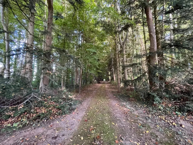 Photos 2 - Touristique - Maison sur vaste parc arboré et corps de ferme, le tout sur 2,3 ha