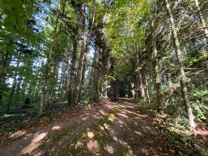 Photos 3 - Touristique - Maison sur vaste parc arboré et corps de ferme, le tout sur 2,3 ha