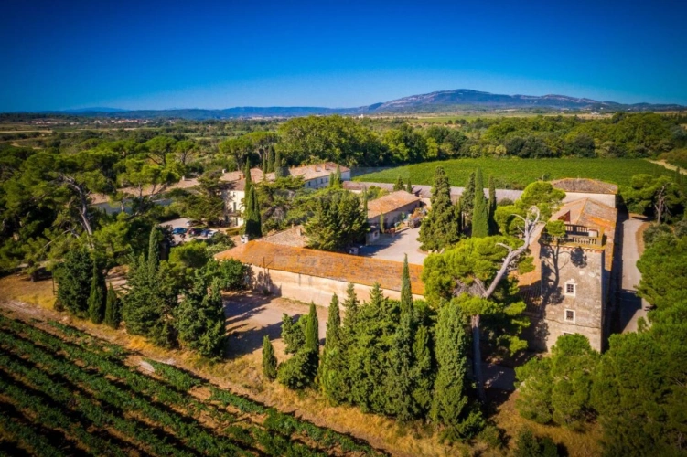 Photos 1 - Prestige - Propriété viticole