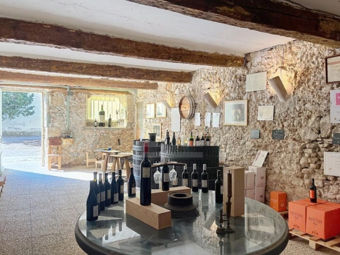 Photos 14 - Prestige - Propriété viticole