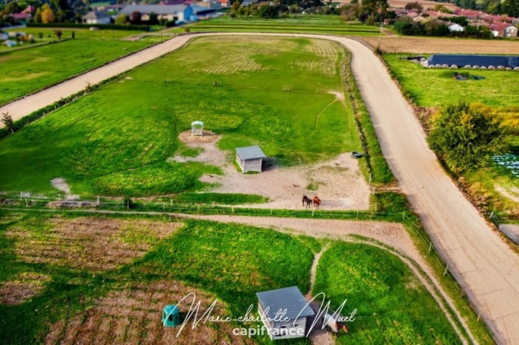 Photos 4 - Équestre - Propriété de 7ha avec deux habitations et nombreuses dépendances