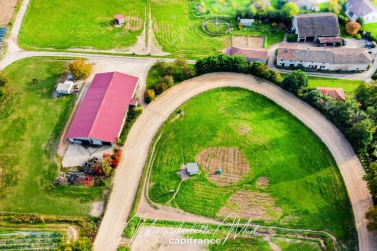 Photos 6 - Équestre - Propriété de 7ha avec deux habitations et nombreuses dépendances